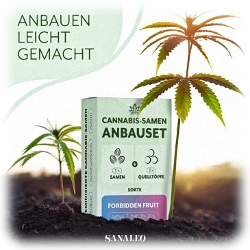 Sanaleo Cannabis Samen Sanaleo Cannabis Samen