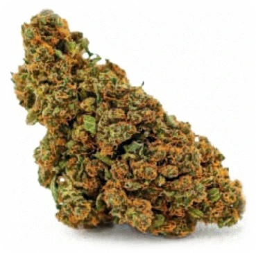 Sanaleo CBD Sanaleo CBD